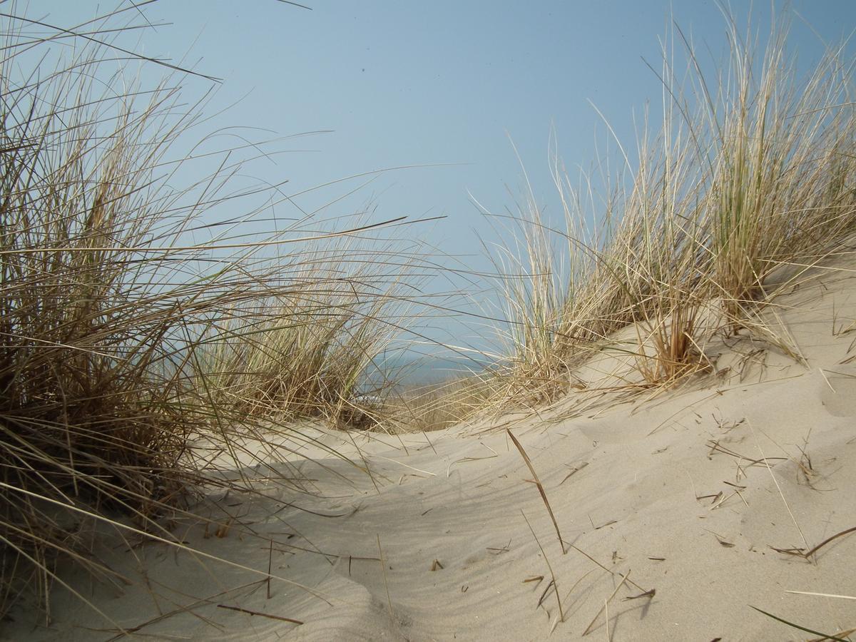 Hollumerstrand Hollum  Eksteriør bilde